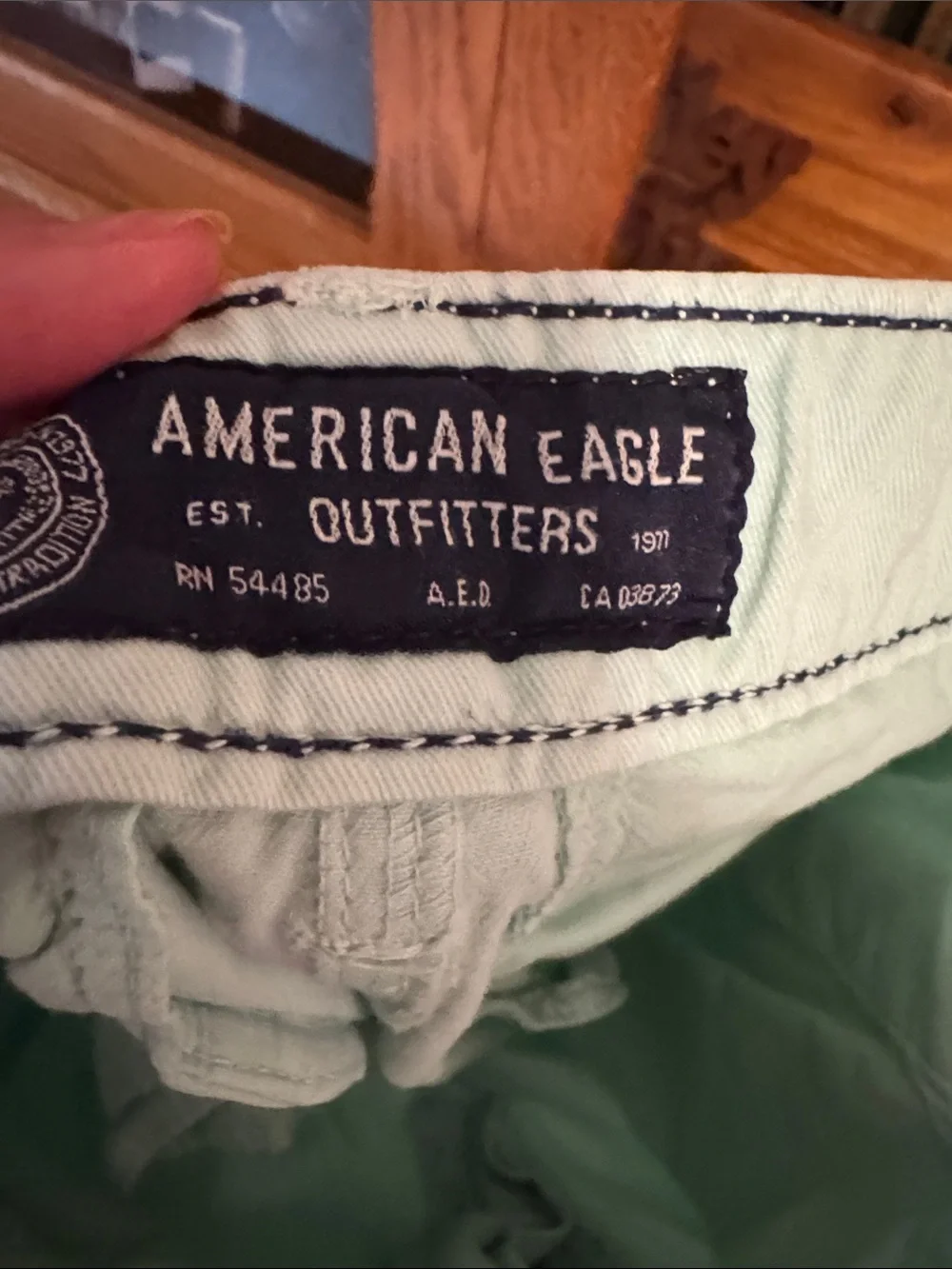 American Eagle Outfitters Light Mint Flat Front Chino Shorts